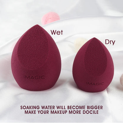 Puff  Professional Makeup Sponge